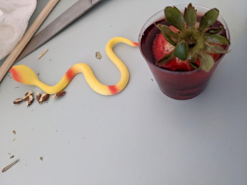 In an ounce of liquid floats a Strawberry. On the table is a yellow Snake.